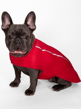 HD Hoodless Raincoat - Red